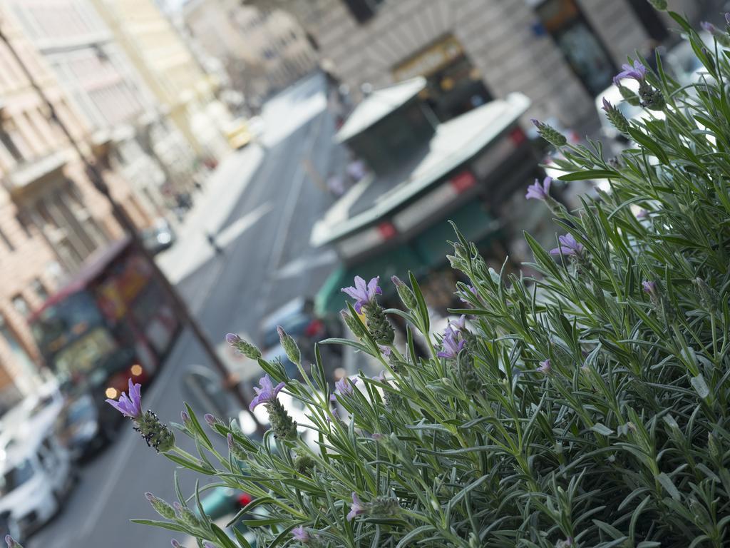 Corso Vittorio 308 Bed & Breakfast Rome Luaran gambar